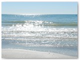 DSCN0855
