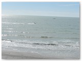 DSCN0885