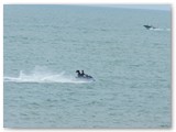 DSCN0887